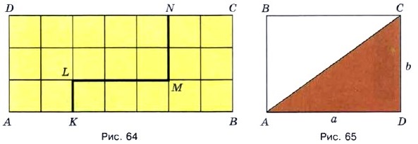 Площадь прямоугольника 5 класс мерзляк презентация. Прямоугольник 5 класс. Периметр 2 класс. Плоащхь как найти. Рабочий лист площадь прямоугольника 5 класс.