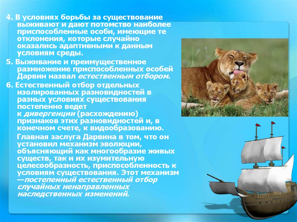 Естественный отбор дарвина биологии. Приспособление организмов по ламарку. Выживают наиболее приспособленные виды. Оставление потомоство. Движущие силы эволюции естественный отбор.