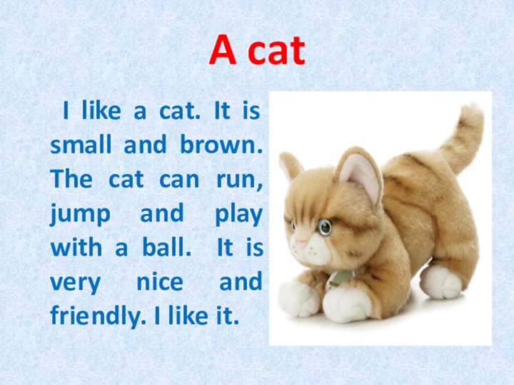 It is a cat. It is a frog it is a dog. He she it кошка. Вопрос is it. Фонетическая зарядка.